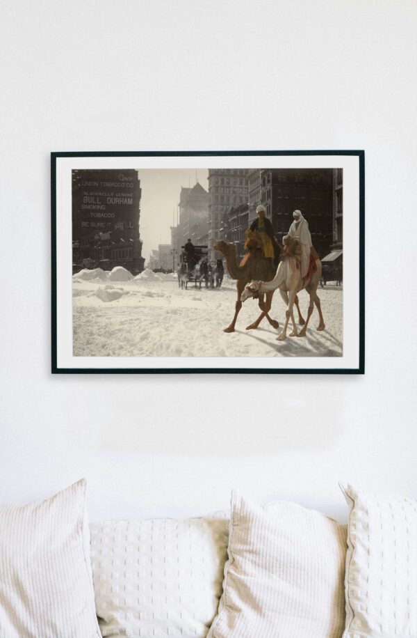 Camelwalk – Bild 3