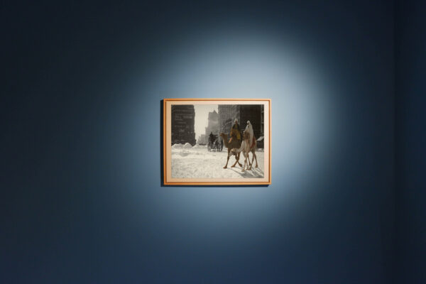 Camelwalk – Bild 4