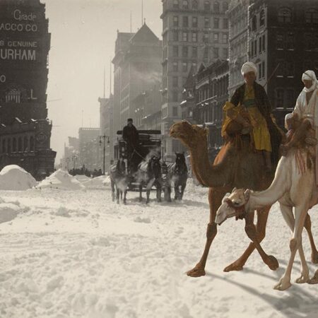 Kunstdruck „Camelwalk“ von Utopiness – kreatives Kunstmotiv und Design